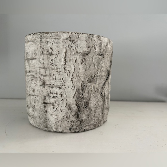 White Birch Textured Cylinder Planter Pot - Picture 3 of 8